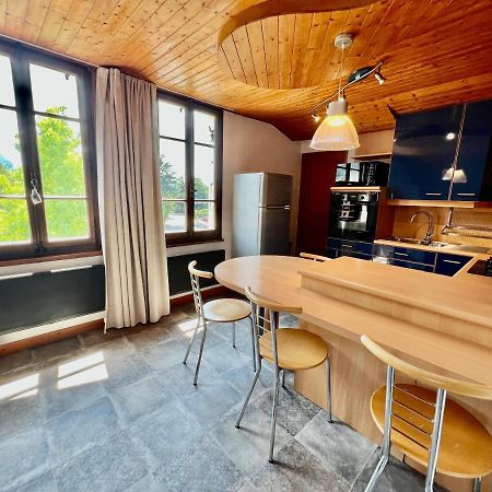 La Branche Du Cerisier Apartamento Annecy Exterior foto